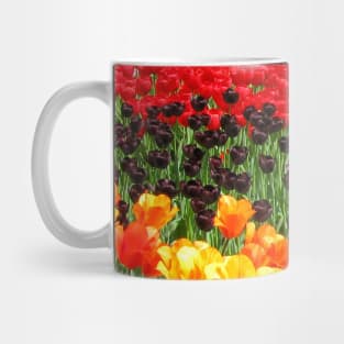 Beautiful Tulips, Keukenhof Tulip Festival, Holland Mug